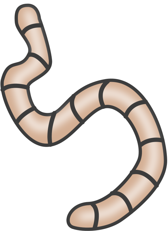 Earthworm Clip Art Download