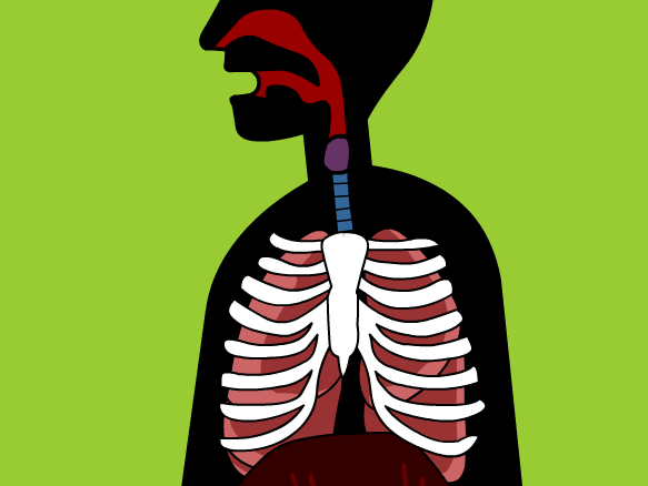 Respiratory System - BrainPOP