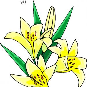 Free Easter Lily Flower Clip Art Image | ClipArTidy