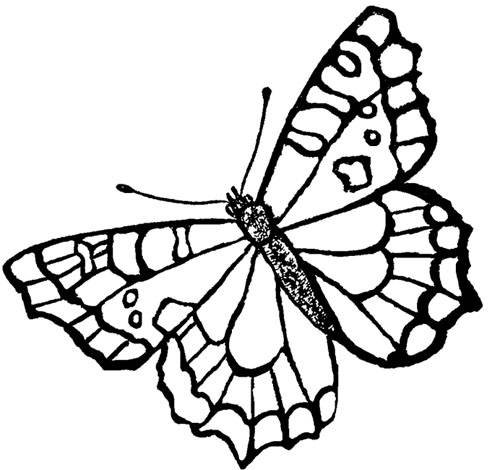 Happy Butterfly Embroidery Design