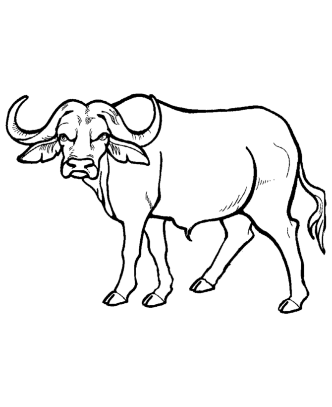 Coloring pages draw animals coloring pages for kids |coloring ...