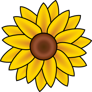 Sunflower Drawing Step By Step - ClipArt Best