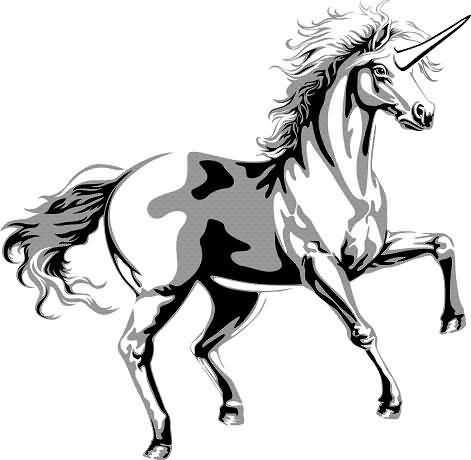 Horse Head Tattoo Designs - ClipArt Best