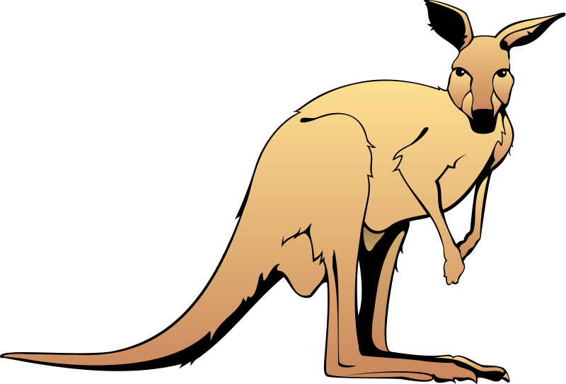 Kangaroo Free Vector