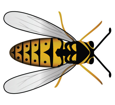 Download Bee Vector Clipart | Download Free Vector Art