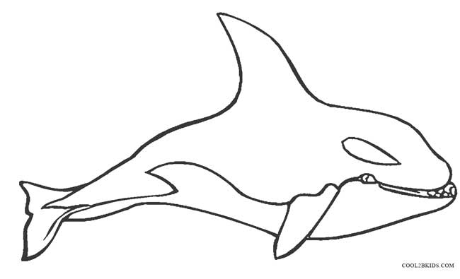 Nice Orca Whale Coloring Pages - Deartamaqua