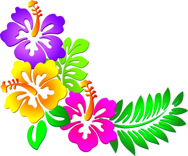 Free Flower Border Clipart Image - 1869, Hawaiian Flower Tropical ...