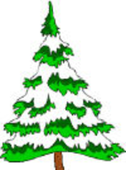 Clip Art Pine Tree - Free Clipart Images