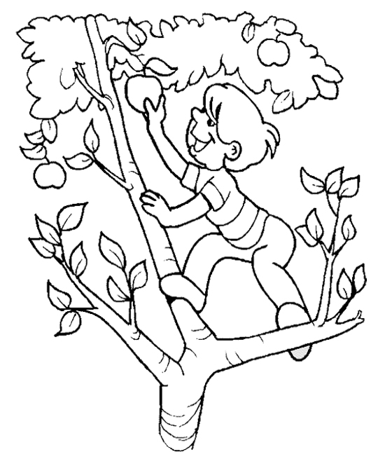 child in a tree Colouring Pages (page 2)