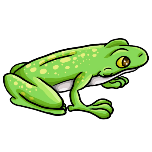 Frog and tadpole clip art