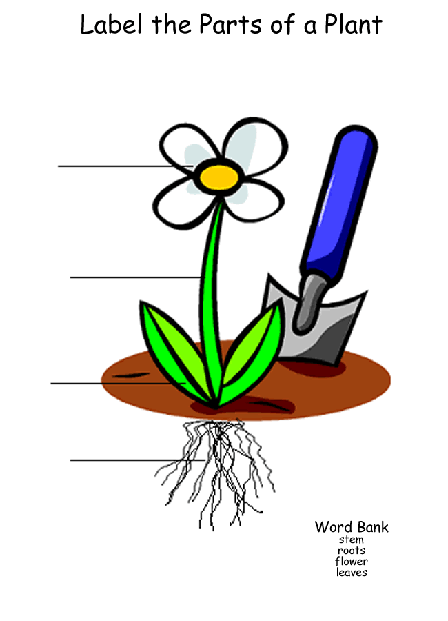 spreadsheets clipart of flowers