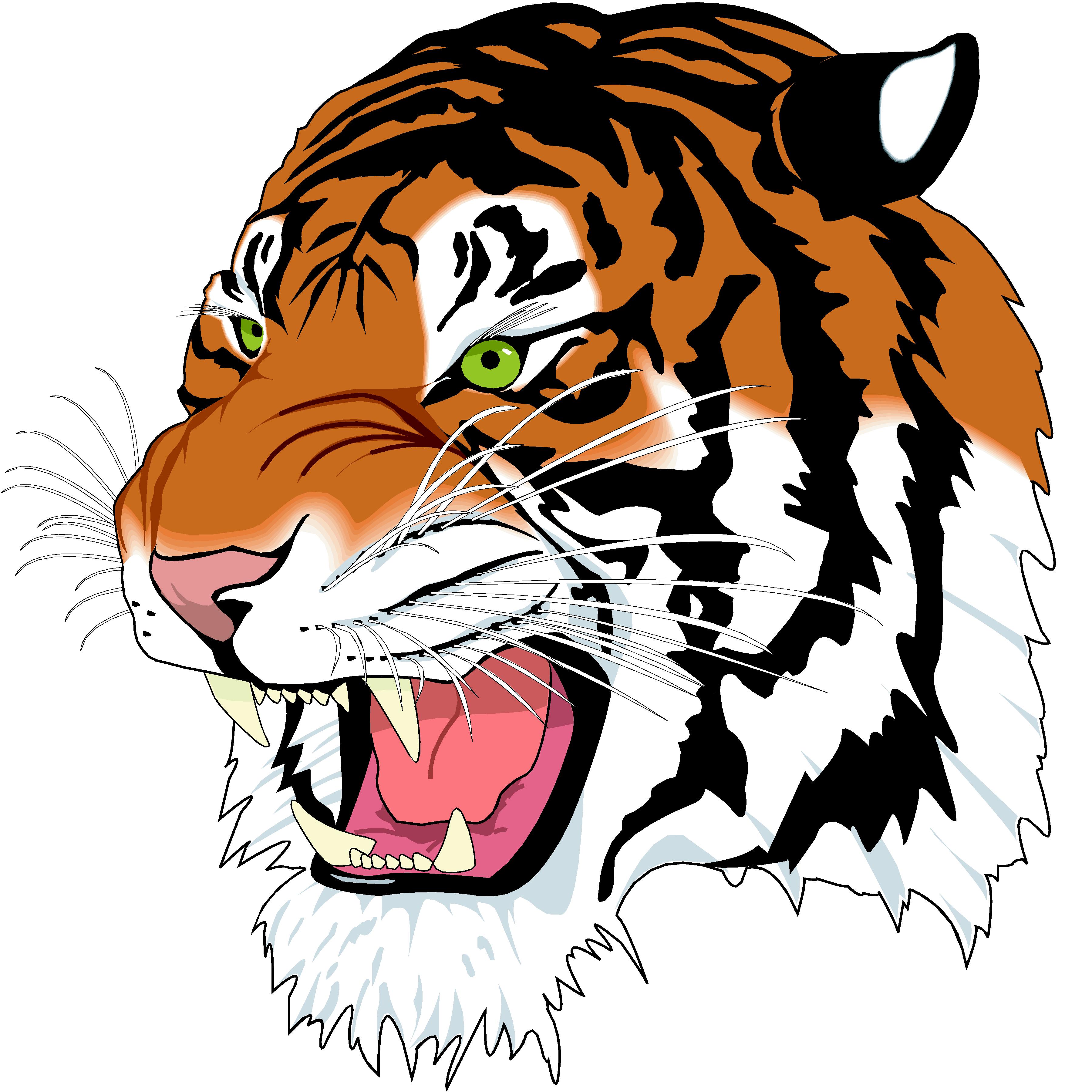 Tigers head clipart