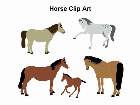 Horse Clip Art Free Images - Free Clipart Images