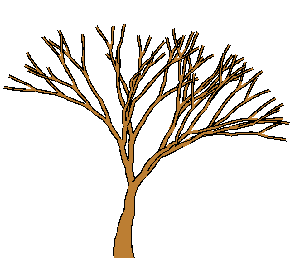 Tree with no leaves clipart