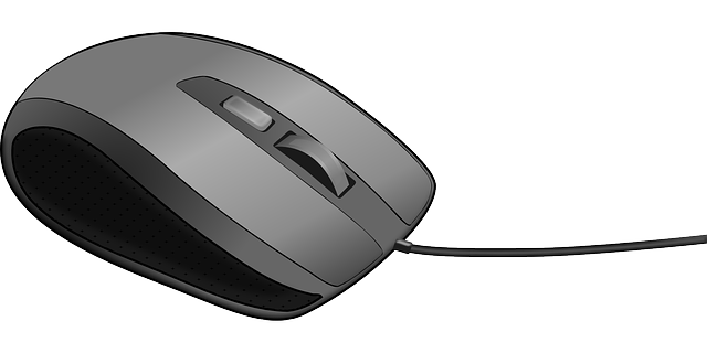 computer_mouse_PNG7678.png