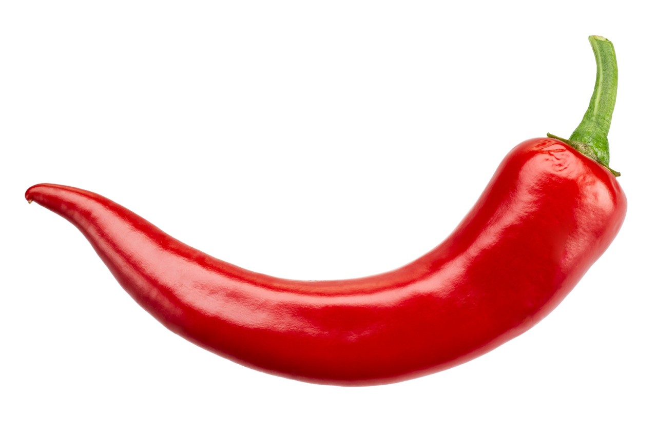 Chili Pepper | Free Download Clip Art | Free Clip Art | on Clipart ...