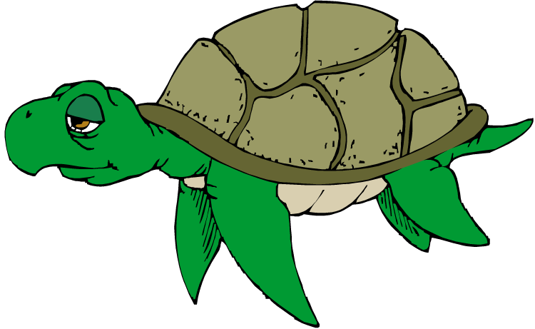 Animals Clipart Tortoise Clipart Gallery ~ Free Clipart Images