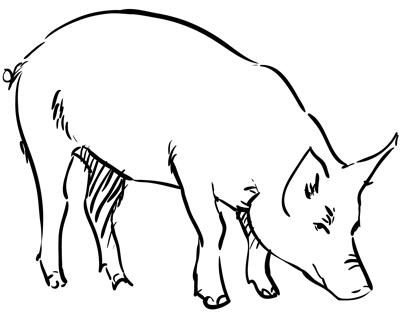 How to Draw a Pig - Sketchbook Challenge 7 - SketchBookNation.com ...