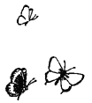 butterfly.gif