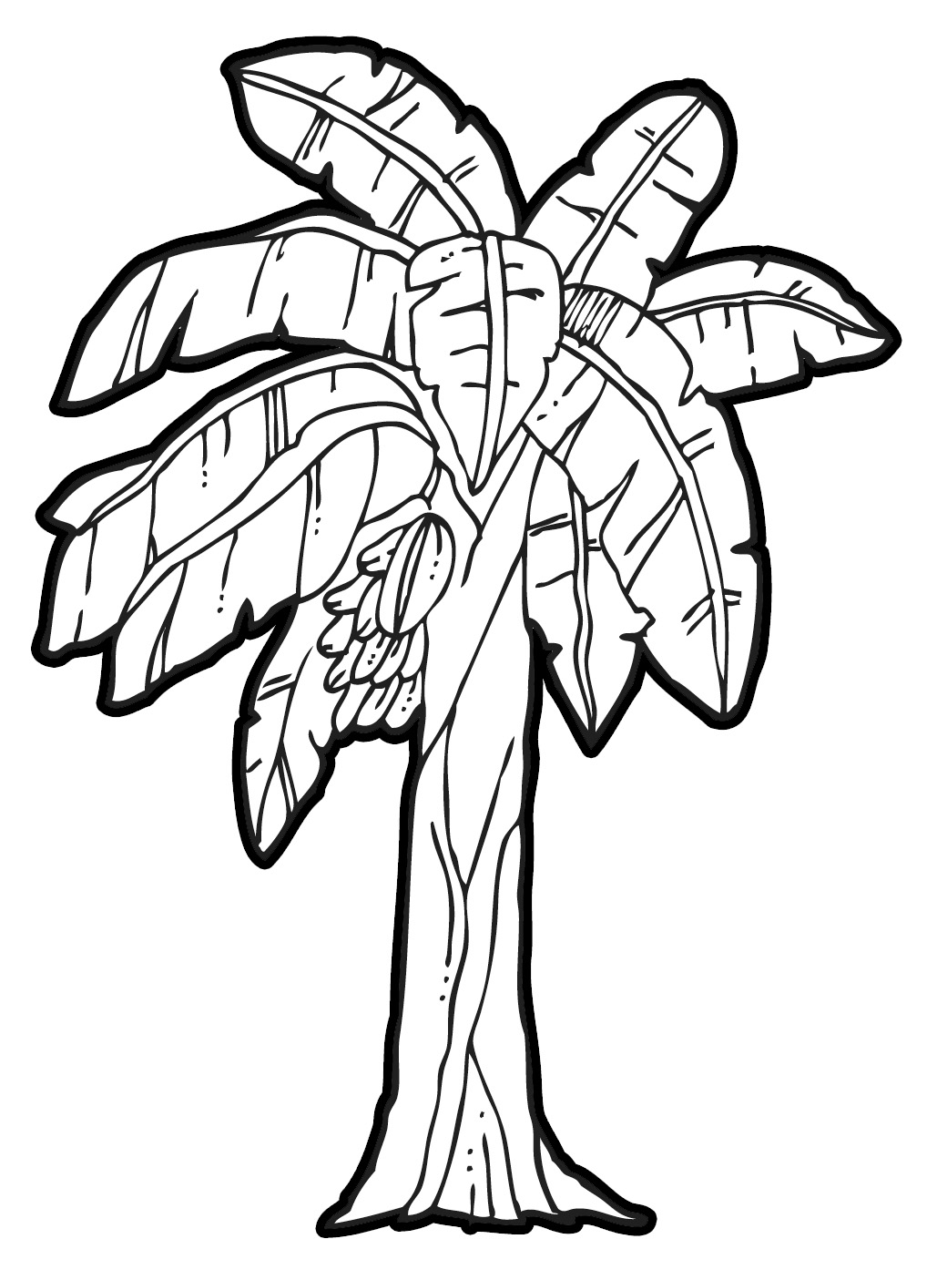 Banana tree leaf outline clipart