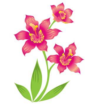 Flower Tattoo Designs and Their Meanings