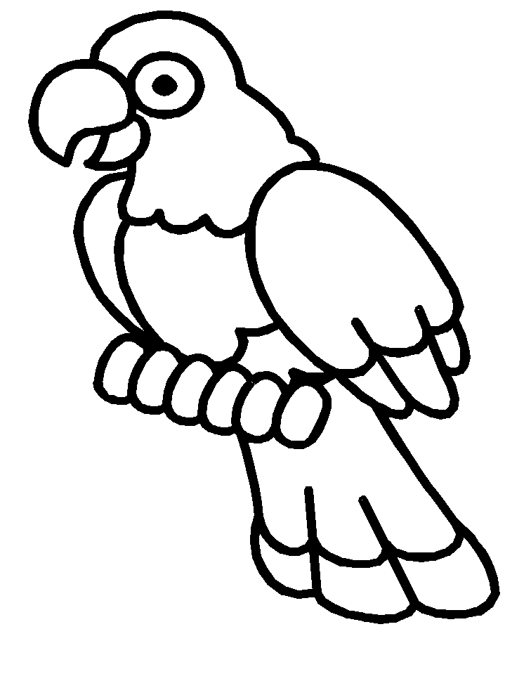 Big Bird Coloring Pages To Print - AZ Coloring Pages