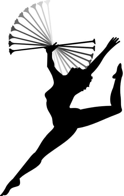 1000+ images about Baton twirling | Broken toe ...