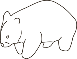 Wombat | High Quality Clip Art