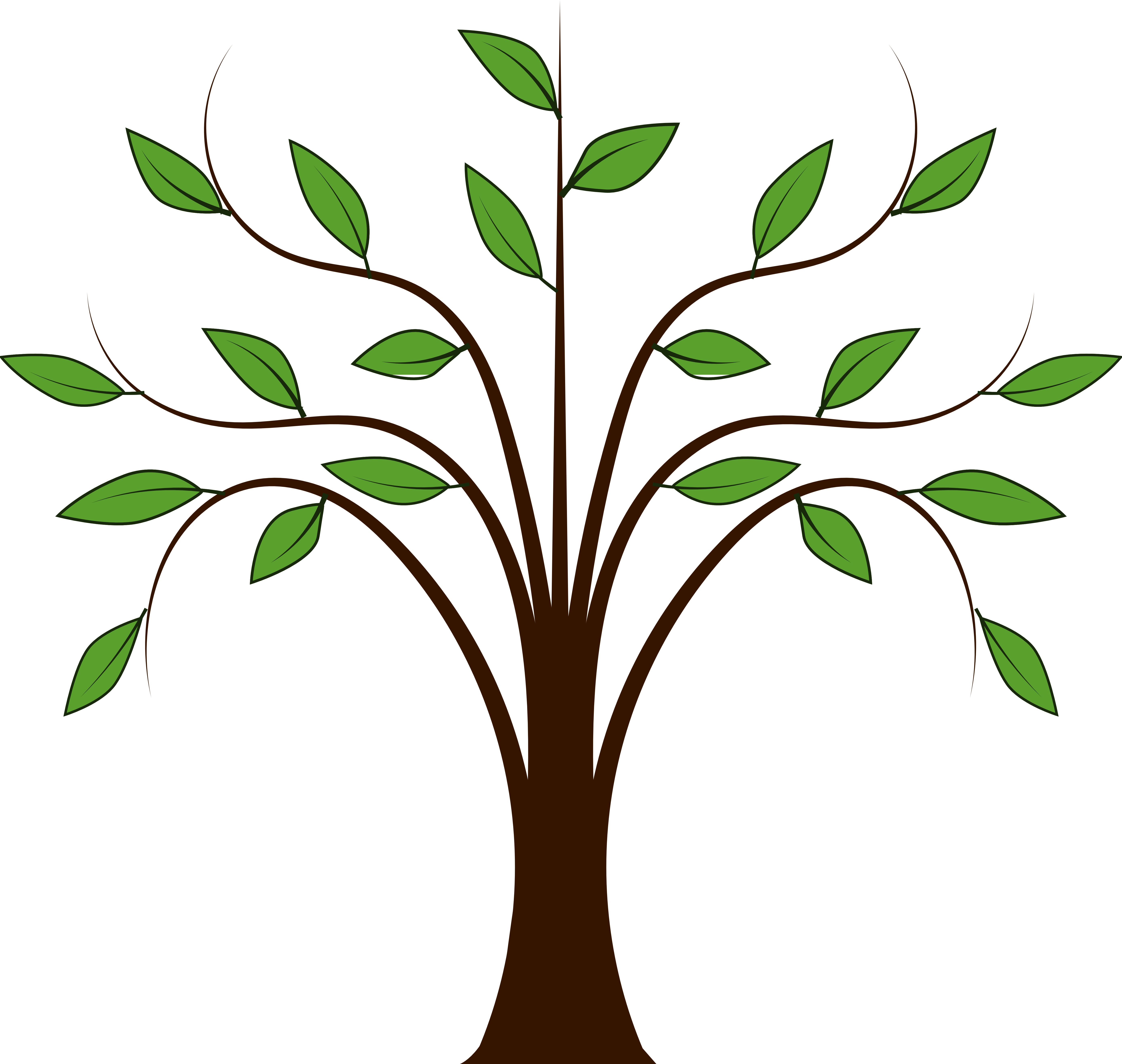 New branches to family tree clipart - ClipartFox