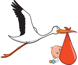 Stork carrying baby clipart