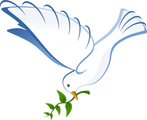 White dove clipart