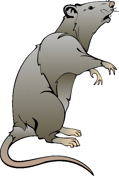 Clip Art Rat - eClip Art