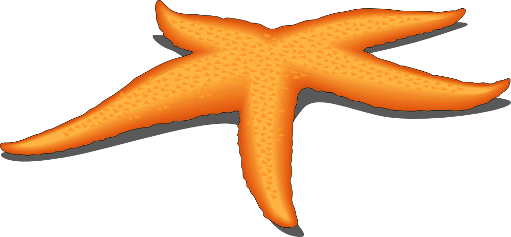 Starfish Graphics - ClipArt Best