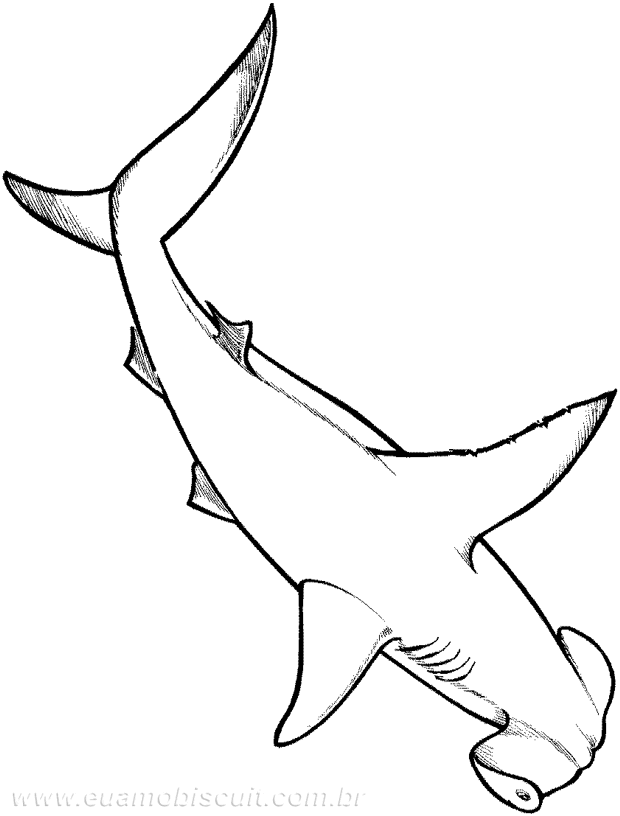 Hammerhead Shark Template