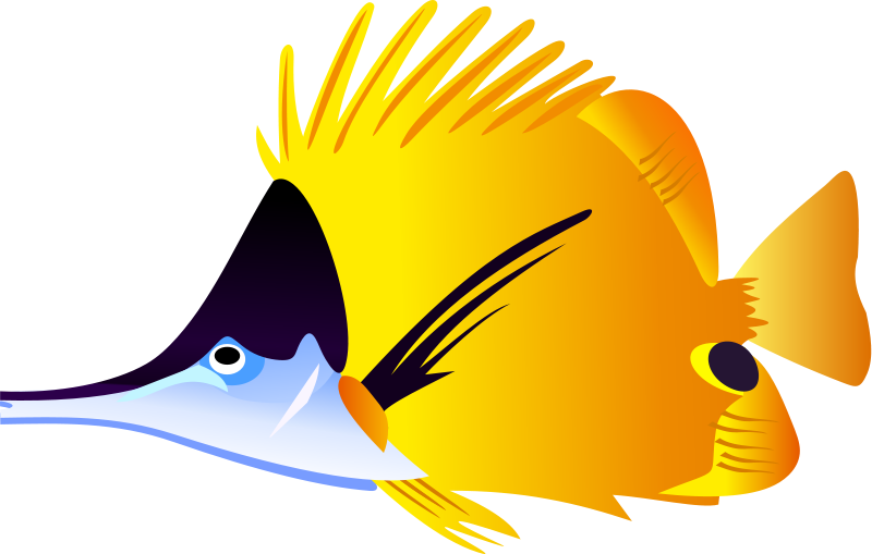 Fish clip art for kids free clipart images - dbclipart.com