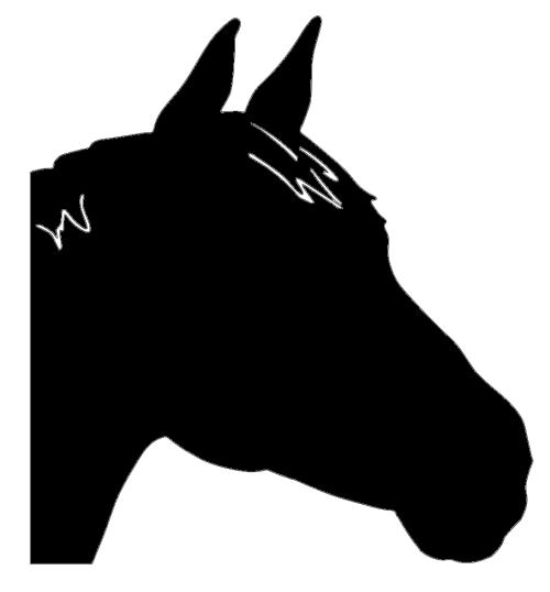 HORSE CUTOUT (Powered by CubeCart)