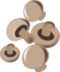 Mushrooms Clipart Image - Mushrooms for Cooking