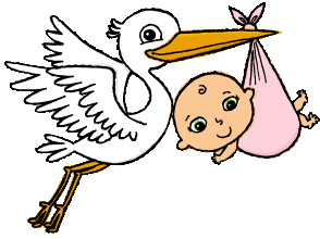 Pictures Of Storks - ClipArt Best