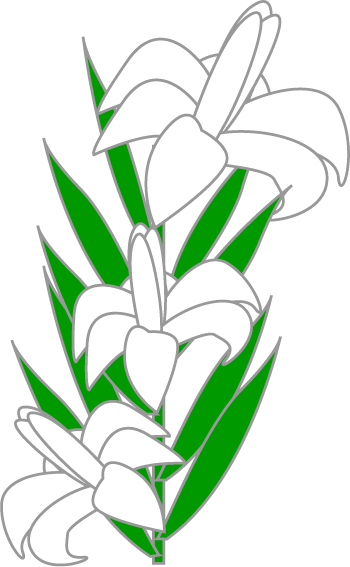 Easter lily border clipart