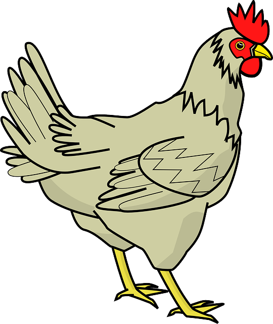 CARTOON, FARM, BIRD, HEN, CHICKEN, CHICKENS, POULTRY - Public ...