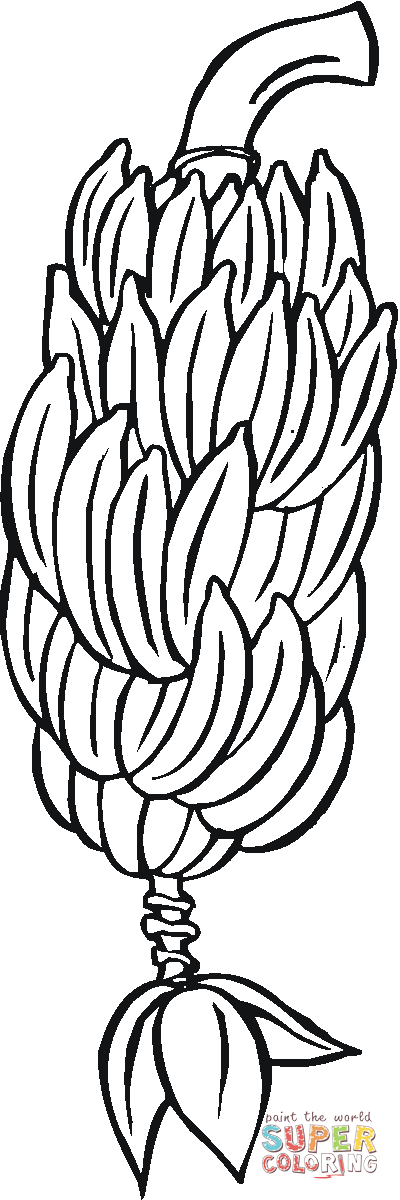 Hand of Bananas on a branch coloring page | Free Printable ...