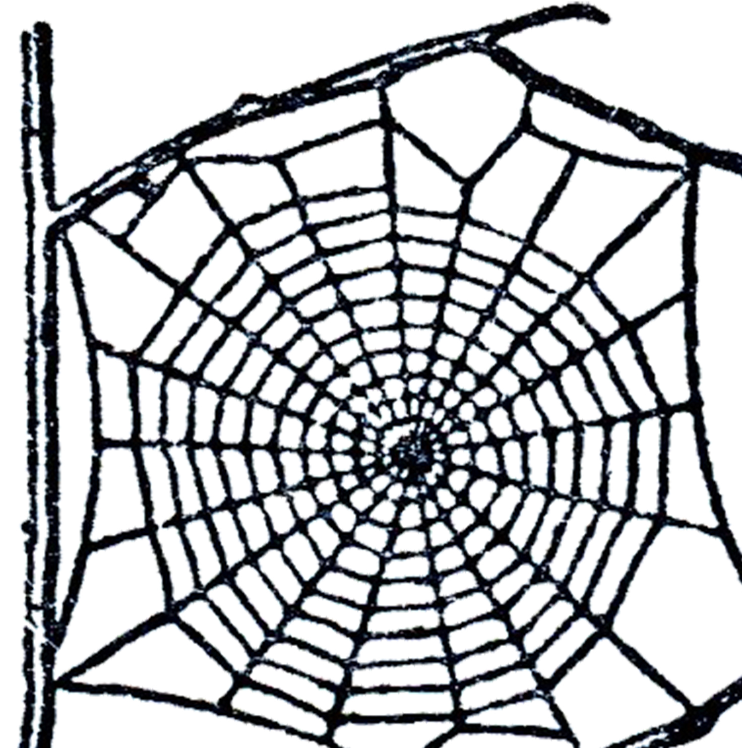 Free spider web clip art - Cliparting.com