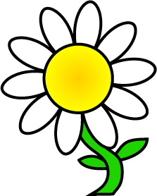 White daisy clipart