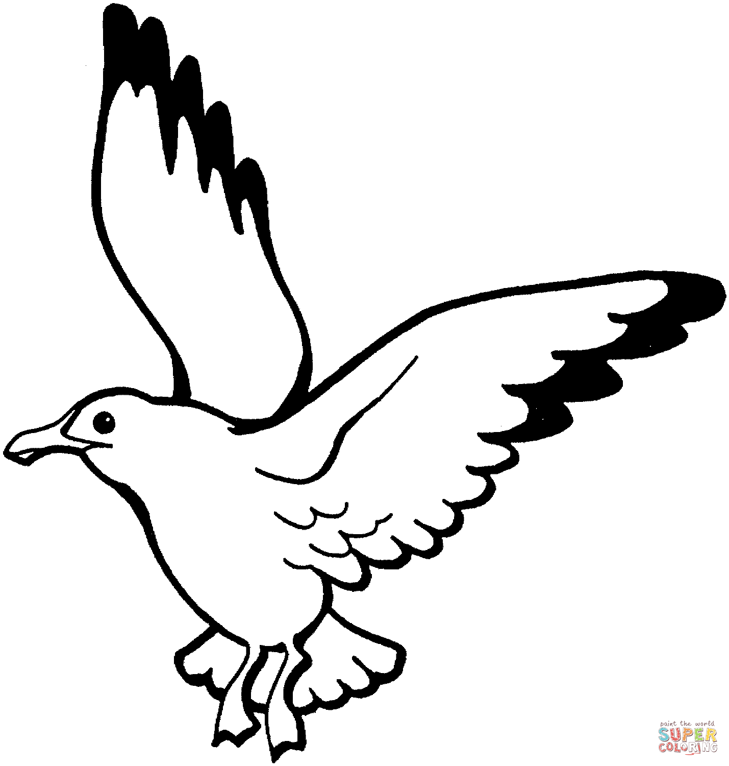 Seagull Photo Drawing | Drawing Images