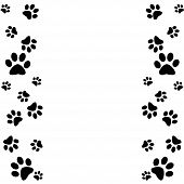 Panther Paw Border Clipart