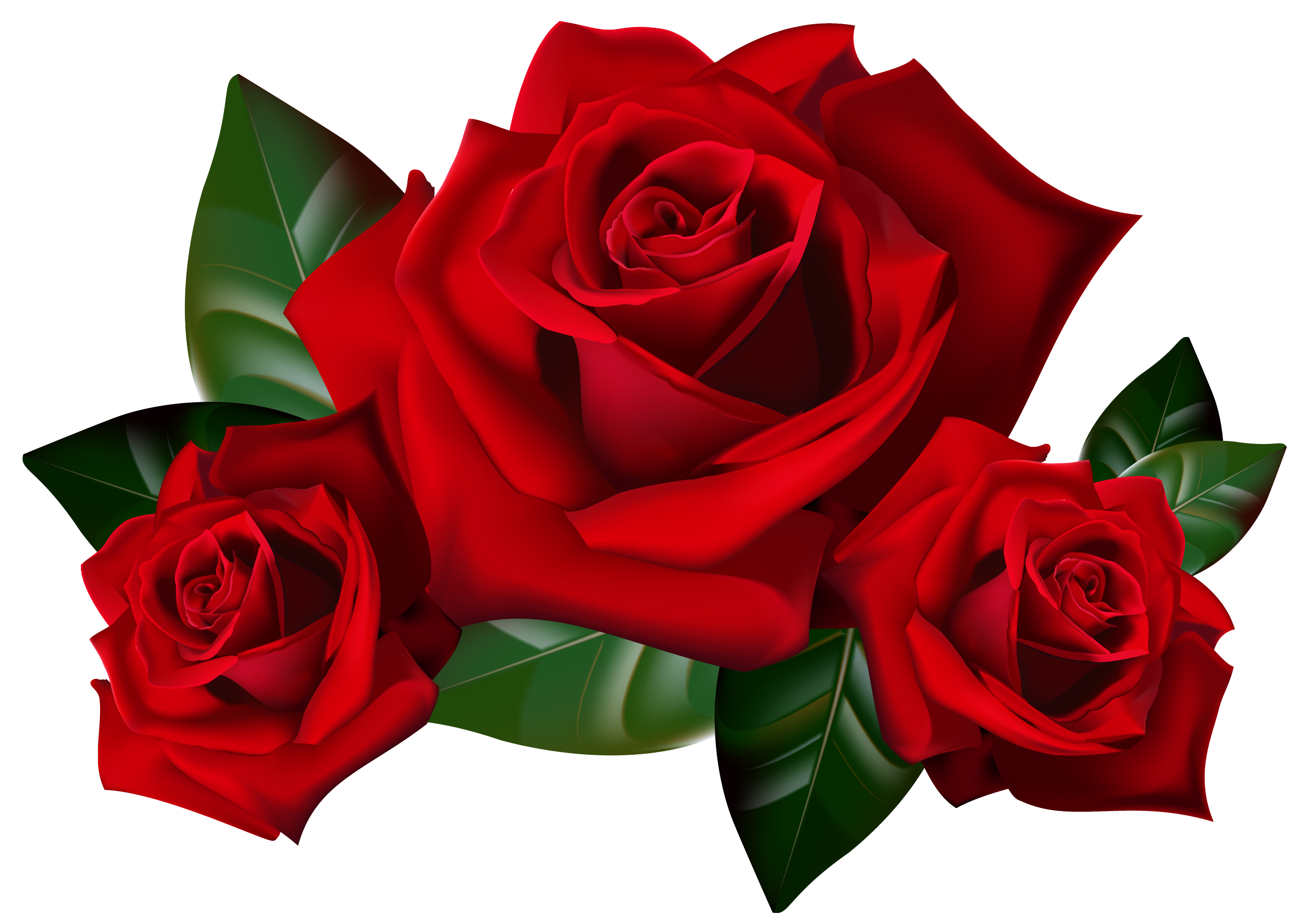 Red rose outline clipart png