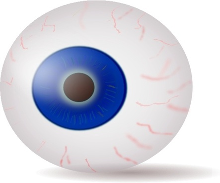 Eyeball free vector download (29 Free vector) for commercial use ...