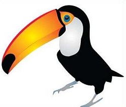 Toucan Clipart