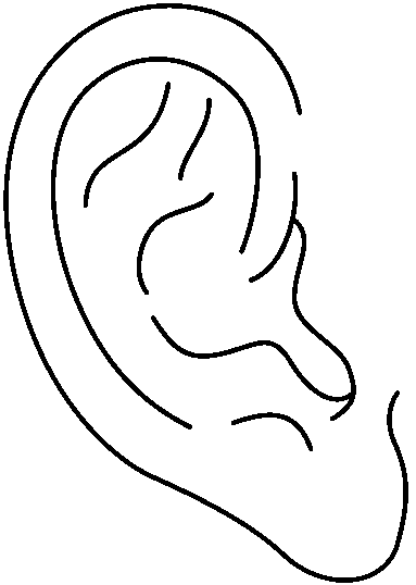 Free ear clipart - ClipartFox