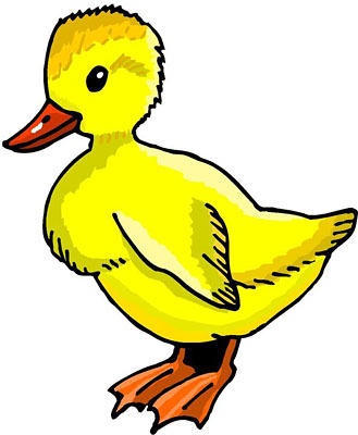 Cute duck clip art